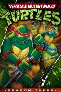 Teenage Mutant Ninja Turtles - Posters