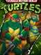 Teenage Mutant Ninja Turtles : Season 3