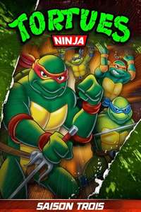 Teenage Mutant Ninja Turtles - Posters