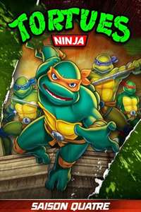 Teenage Mutant Ninja Turtles - Posters