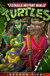 Teenage Mutant Ninja Turtles - Posters