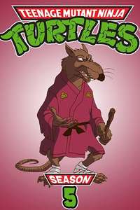 Teenage Mutant Ninja Turtles - Posters