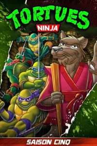 Teenage Mutant Ninja Turtles - Posters