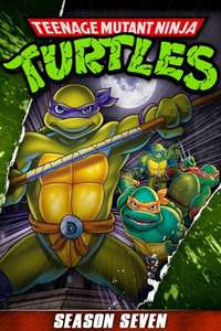 Teenage Mutant Ninja Turtles - Posters