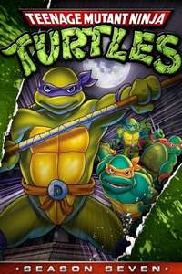Teenage Mutant Ninja Turtles - Posters