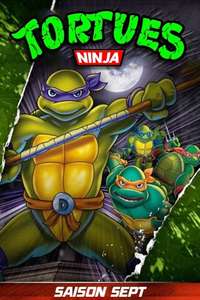 Teenage Mutant Ninja Turtles - Posters