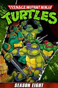 Teenage Mutant Ninja Turtles - Posters