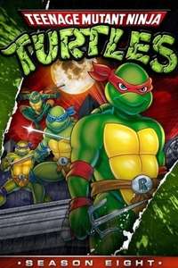 Teenage Mutant Ninja Turtles - Posters