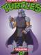 Teenage Mutant Ninja Turtles : Season 8