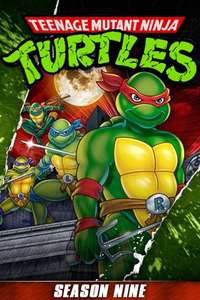 Teenage Mutant Ninja Turtles - Posters