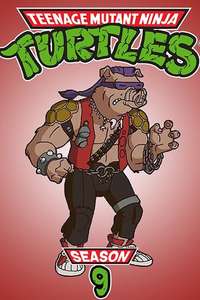 Teenage Mutant Ninja Turtles - Posters