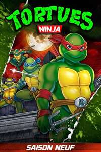 Teenage Mutant Ninja Turtles - Posters