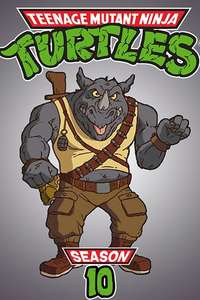 Teenage Mutant Ninja Turtles - Posters