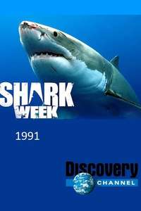 Shark Week - Posters