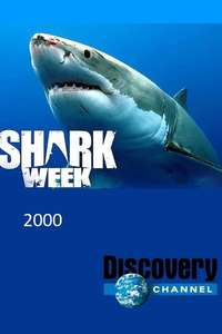 Shark Week - Posters