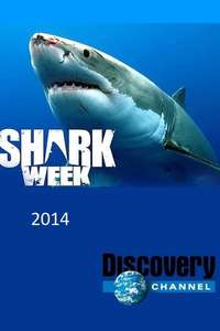 Shark Week - Posters