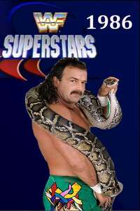 WWF Superstars of Wrestling - Poster