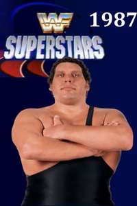 WWF Superstars of Wrestling - Poster