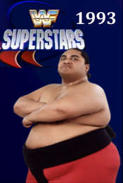 WWF Superstars of Wrestling Season 8