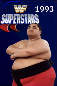 WWF Superstars of Wrestling - Poster