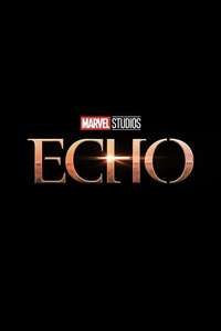 Echo - Posters