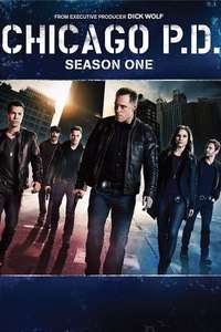 Chicago P.D. - Posters