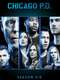 Chicago P.D. : Season 6