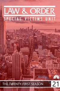 Law & Order: Special Victims Unit - Posters