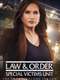 Law & Order: Special Victims Unit : Season 22