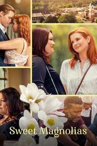 Sweet Magnolias - Posters
