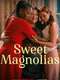 Sweet Magnolias : Season 3