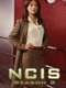 NCIS : Season 2