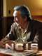 NCIS : Season 8