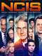 NCIS : Season 16