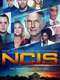 NCIS : Season 17