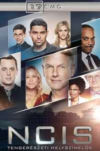 Season 17 - Posters