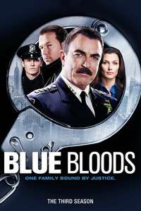 Blue Bloods - Posters