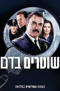 Blue Bloods - Posters