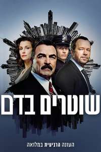 Blue Bloods - Posters