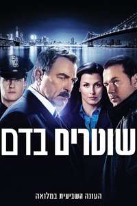 Blue Bloods - Posters