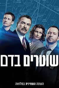 Blue Bloods - Posters