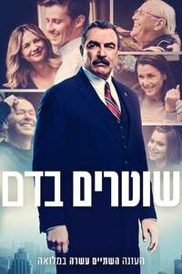 Blue Bloods - Posters