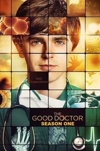 The Good Doctor - Posters