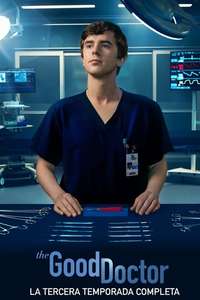 The Good Doctor - Posters
