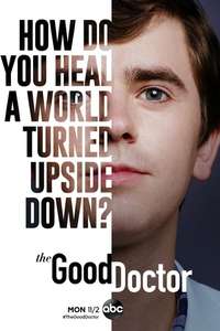 The Good Doctor - Posters