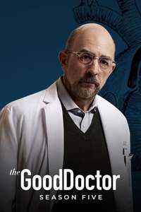 The Good Doctor - Posters