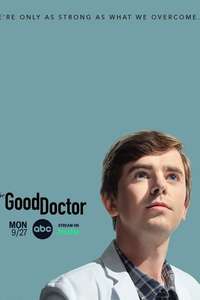 The Good Doctor - Posters