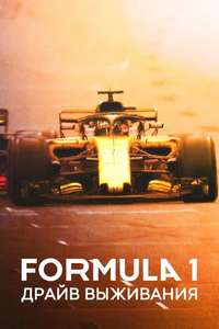 Formula 1: Drive to Survive - Posters