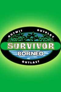 Survivor - Posters