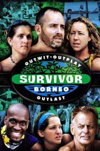 Survivor - Posters